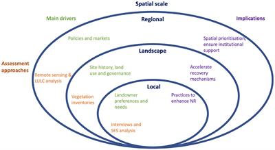 Editorial: Enhancing Natural Regeneration to Restore Landscapes